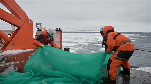 246K views · 854 reactions | China placed its first ecological...