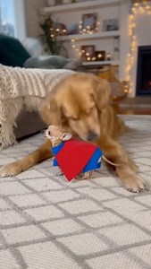 21K views · 449 reactions |  watch till end dog reaction  100% AI video for fun & laughs! Every scene is digitally created — no real animals, babies, or people.  Enjoy and share!  No reuploads. | S D Creation | Facebook