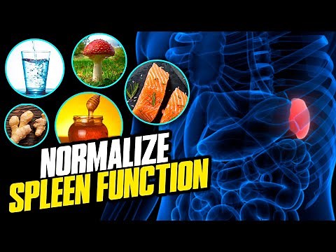 Normalize Spleen Function By Eating These Foods