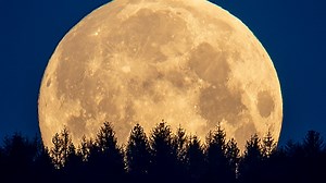 NASA: Moon wobble to cause coastal flooding surge by 2030s