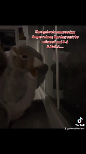 That wasn't in their contract!🌰🦴