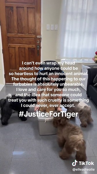 Understanding Animal Cruelty and Its Impact