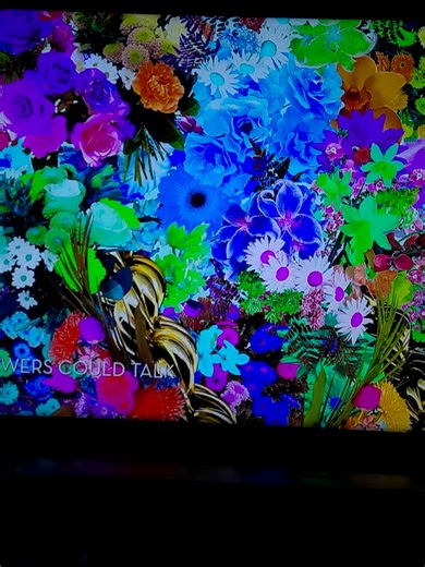 Dancing in colors, of blessings! | dancing