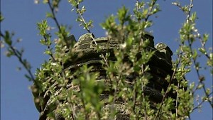 It's one of the highest points in the Black Country and now there are new plans to protect Sedgley Beacon. Dudley Council is bidding for more than a million pounds of Heritage Lottery funding. | BBC Birmingham