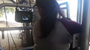 L60 Compact Handheld Veterinary Ultrasound Scanner with Different Transducer (L60 with Linear Array transducer)