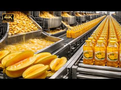 Inside a Massive Starfruit Factory: From Fresh Starfruit to Bottled Syrup | Full Process