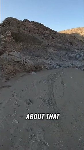 The Yamaha TTR230 is a GOAT! (literally)