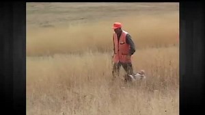 National springer open