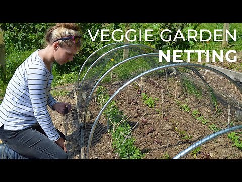 Garden Netting: Protecting crops in the Veggie Garden