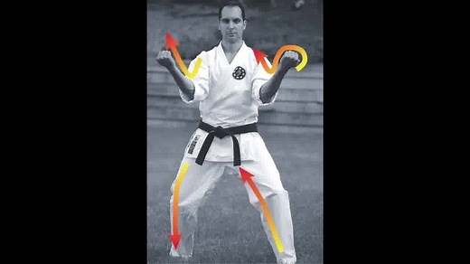 The Kata Electric - The Mystery of Seisan | Fudoshin Shotokan Karate