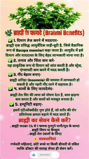 Brahmi: The Natural Solution to Anxiety