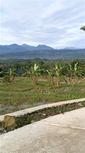 Panorama Alam Pedesaan Diiringi Kecapi Suling Sunda (membuat takjub) #kecapisulingsunda #masyaallah
