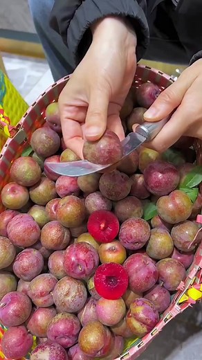 Sorting Fresh Plums: A Guide to Choosing the Best
