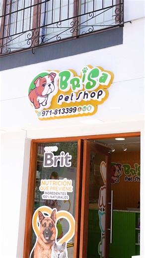 35 reactions | ¡Atención Pet Lovers!  En Brisa Pet Shop tenemos una promo que hará feliz a tu peludo  ¡y también a tu bolsillo! ✨ 10% OFF en TODA la tienda física ✨ ➡️ Solo hasta el 31 de octubre ➡️ Exclusivo para compras en tienda física (no aplica en delivery) | Brisa Pet Shop | Facebook