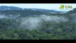 CIAL's tryst with Hydropower Cochin International Airport Ltd (CIAL), the world's first airport fully powered by solar energy, ventures into hydropower production. 4.5 MWp Arippara (Kozhikode) power plant will be commissioned on 06th November 2021. #CIAL#Greenairport#kochiairport#greenenergy#sustainabledevelopment#newproject#hydropower#hydroenergy#powergeneration#gogreen#arippara#kozhikode#iruvazhiniriver#kerala#kochi#India#kseb#cialinfra#cialprojects#pinarayivijayan#keralagovernment#pppmodel#4.