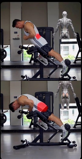 Back extensions exercise #backworkout #short #gluteexercises #backexercise #youtubeshorts #muscle