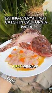 venomous sculpin crudo… #fishing #catchandcook #seafood