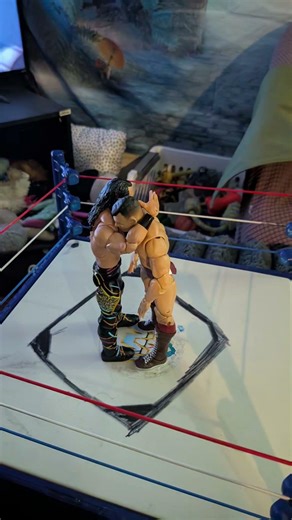 Seth Rollins sling blade stop motion