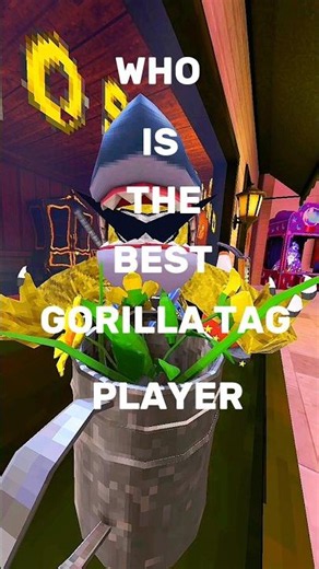 Who is the best gorilla tag player?! #gorillatag #gtag #vr #fypシ #fyp