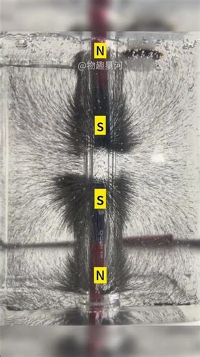 Unleash the Power of Magnets: Junior High Physics Experiment