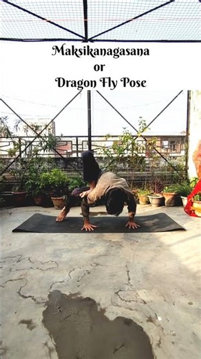 Maksikanagasana | Advanced Asana #youtube#shorts#aadiyog #trending#yoga#asana#advance#practice#edit