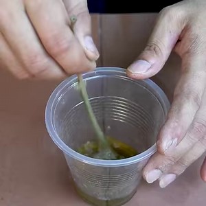 145K views · 10K reactions | Tips For Planting And Caring Flowers Easily | DIY Balcony Garden | Facebook