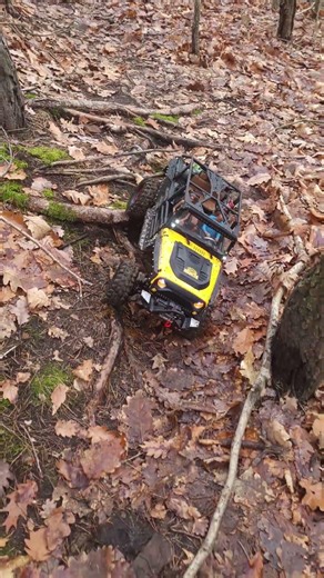 Df-4s Pro crawler 1/10