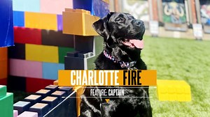 5.7K views · 231 reactions | There are only 63 ATF accelerant...