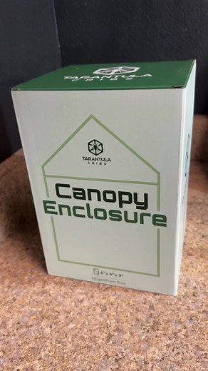 I made a juvenile Pink Toe Tarantula this new Tarantula Cribs canopy enclosure. I love the design and smooth front opening door. #everevolvingexotics #reptileshop #tucson #arizona #tarantulacribs | Ever Evolving Exotics