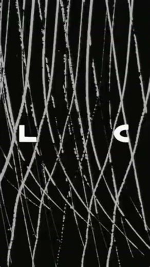 Haruko Haruhara, Eri Ninamori - FLCL (2000)