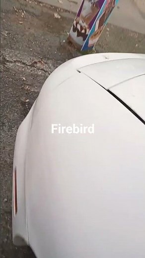 roadrunner meep meep