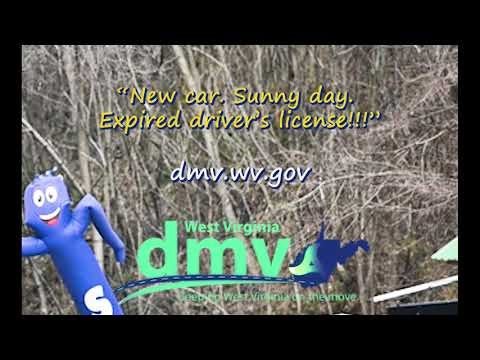 DMV Expired License Flailing Mini March 2026