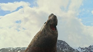 Antarctica, the most extreme continent on our planet – higher, colder, and even drier than any place Earth. Discover how what happens here affects every single one of us. Don't miss #Antarctica, narrated by Benedict Cumberbatch, in theatres. Book tickets now 👉 http://antarcticafilm.com/theaters | BBC Earth