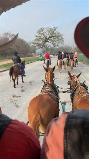 Experience the Houston Livestock Show & Rodeo Parade