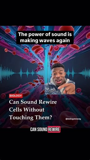 High Frequency Highway | Sound isn’t just heard — it’s felt. The right frequencies can rewire your cells, reset your nervous system, and realign you with your... | Instagram