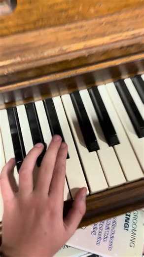 Wasp behind piano key 😱
