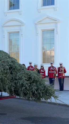 The First Lady welcomes and inspects the official White House Christmas tree. | And We Know