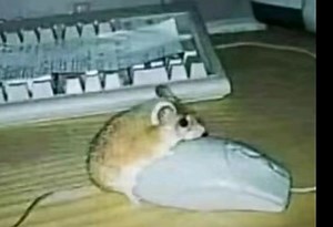 “笑了你的未来只能和赛博机器人男娘度过的MeMes”#352_哔哩哔哩_bilibili