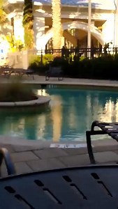 Initial Duck | Bunta Fujiwara