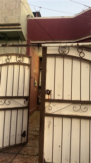 فيديوهات أنشأها radwan–botany (@radwanbotany) باستخدام الصوت الأصلي - radwan–botany