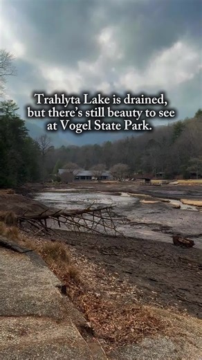 Exploring Vogel State Park: Beauty Beyond Trahlyta Lake