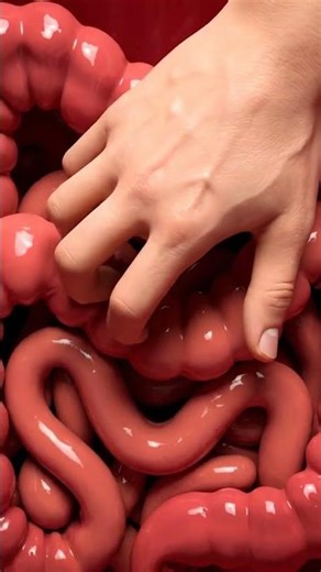 How The Lungs Look Like Inside | Human Anatomy | Anatomy Arts #shorts #usa