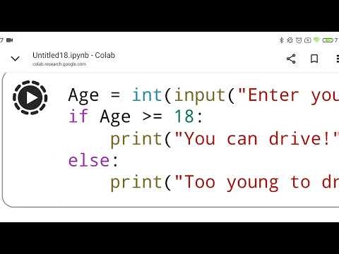 How to Create an Age Checker Program in Python (Google Colab)