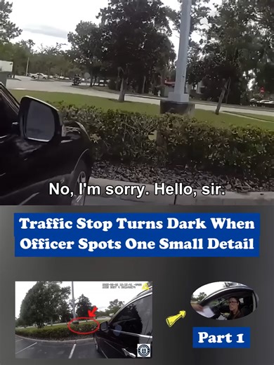Traffic Stop Reveals Unexpected License Issue