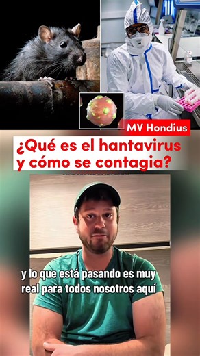 ¿Que pasa en el MV Hondius, qué es el hantravirus y cómo se contagia? #hantavirus #mvhondius #hantaviruspulmonarysyndrome #altamar #crucero