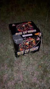 Bite of Death 36 shot double break! 🥜#100proof #fireworks #islandpyro #pyro #bigbore