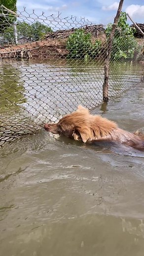 Tài khoản được đề xuất