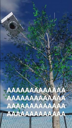 Screaming washing machine meme