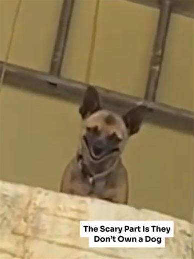 Understanding Skinwalkers: Myths and Legends Explained