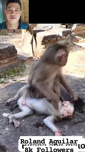 Yung pala ang sekreto 😁 #fbreelsfypシ゚viralfbreelsfypシ゚viral #hlightseveryone #reelschallengereelschallenge #fbviralbシviralral #starseverywherefypシ゚viralシypシ゚viralシhtag #highlightseveryonefollowers2025 #reelstrending #StarSender #reelviral #StarsEverywhere | Roland Aguilar